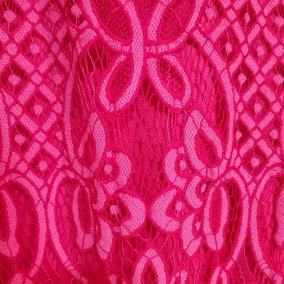 Boston Proper Fuchsia Lace Fringe Dress - Picture 5 of 5